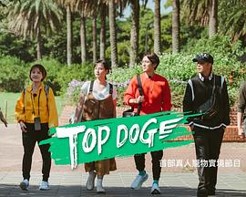 麻豆映画《TOP DOG》免费在线观看