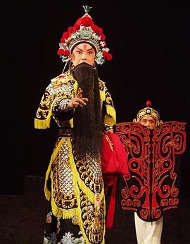 麻豆最新出品《袁崇焕2009》免费在线观看